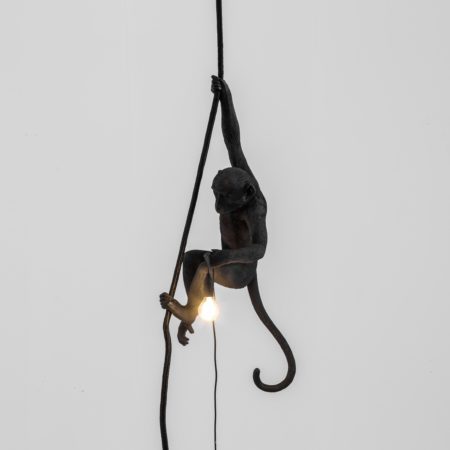 SELETTI MONKEY LAMP OUTDOOR AAN TOUW ZWART - Afbeelding 3
