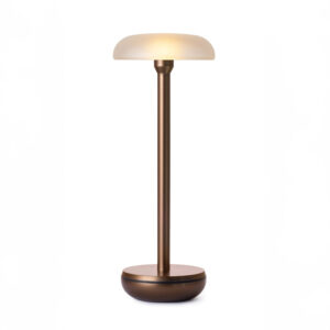 HUMBLE AIR BRONZE / FROSTED