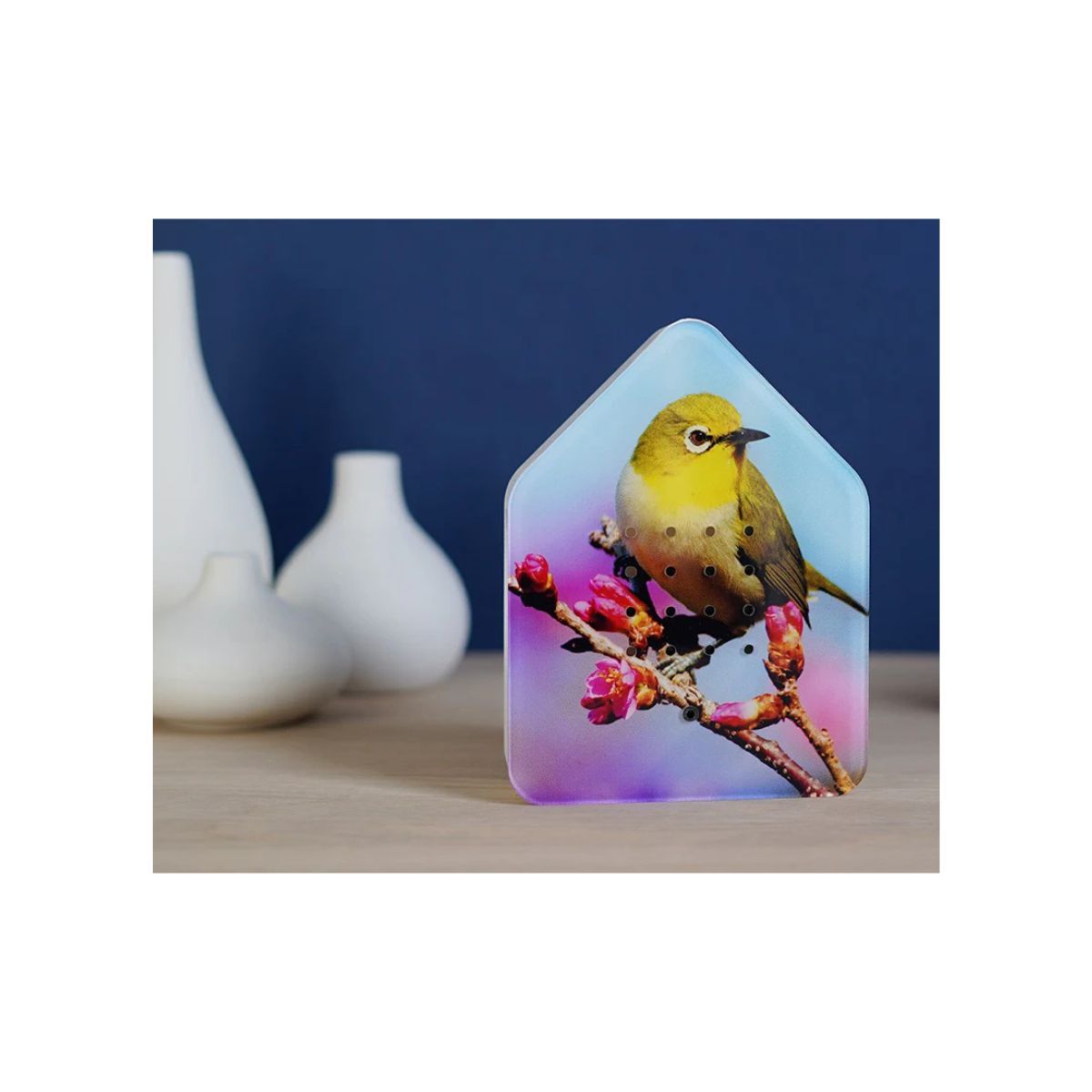 Relaxound Zwitscherbox Vogelgeluiden Limited Edition Silvereye - Afbeelding 2